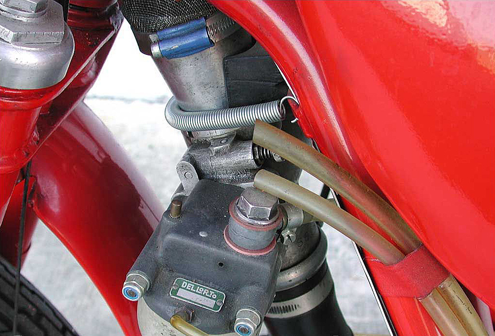350MonoAlbero51_02.jpg
