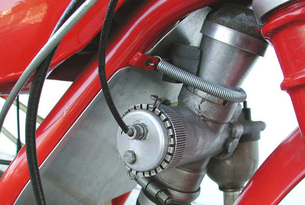 350MonoAlbero51_03.jpg