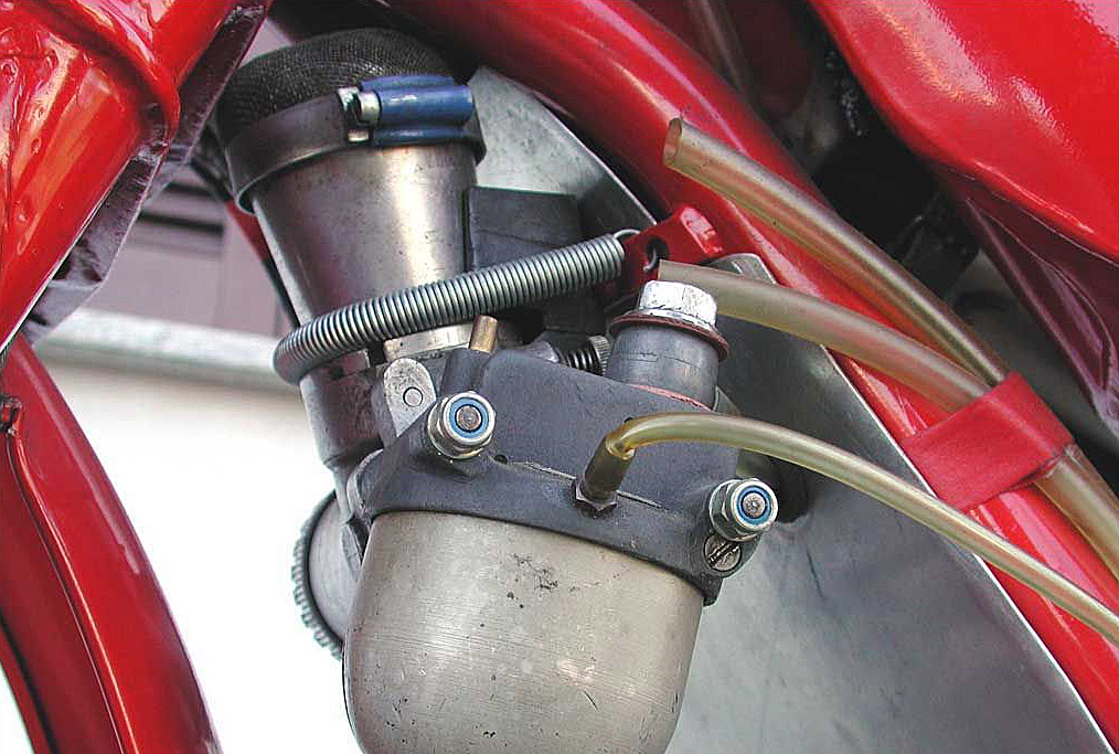 350MonoAlbero51_04.jpg