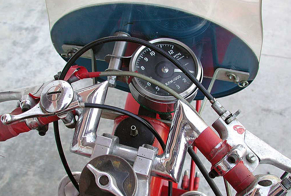 350MonoAlbero51_14.jpg
