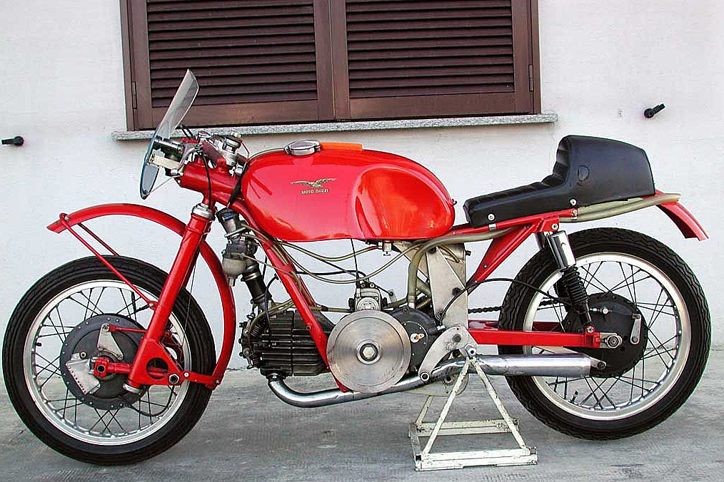 350MonoAlbero51_15.jpg
