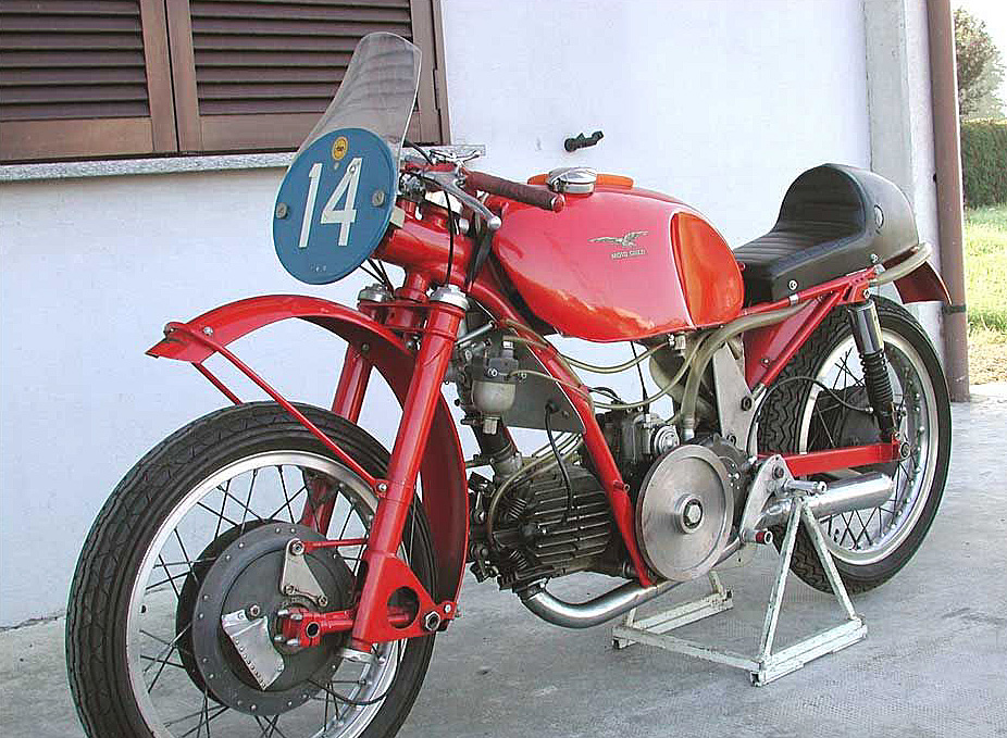 350MonoAlbero51_16.jpg