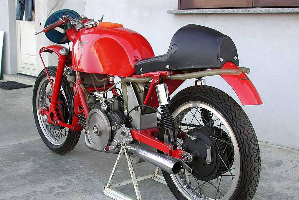 350MonoAlbero51_17.jpg
