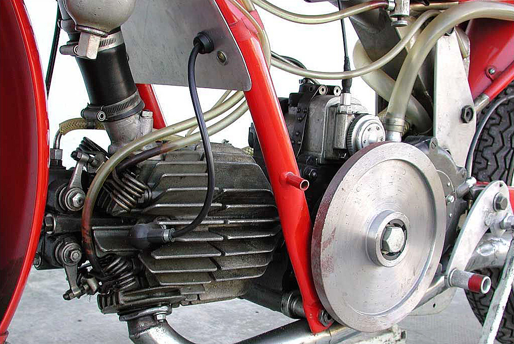 350MonoAlbero51_20.jpg
