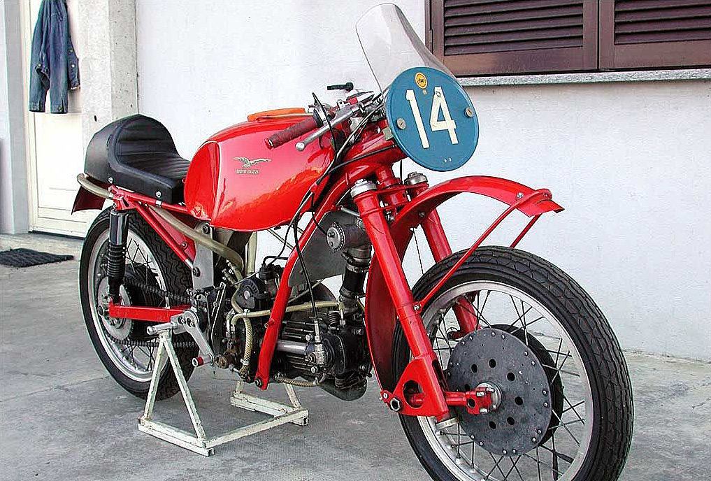 350MonoAlbero51_22.jpg