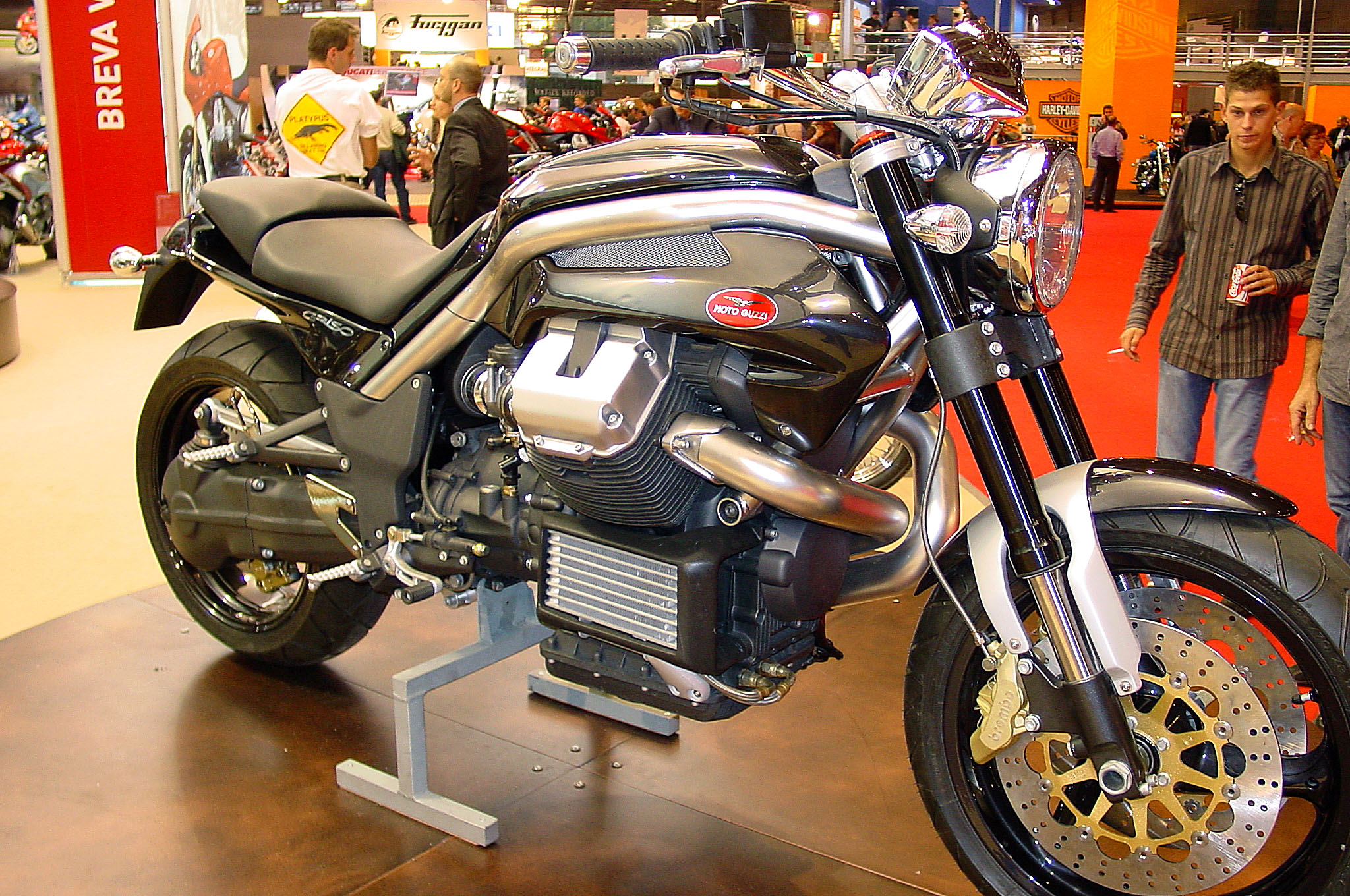 Griso03_01.jpg