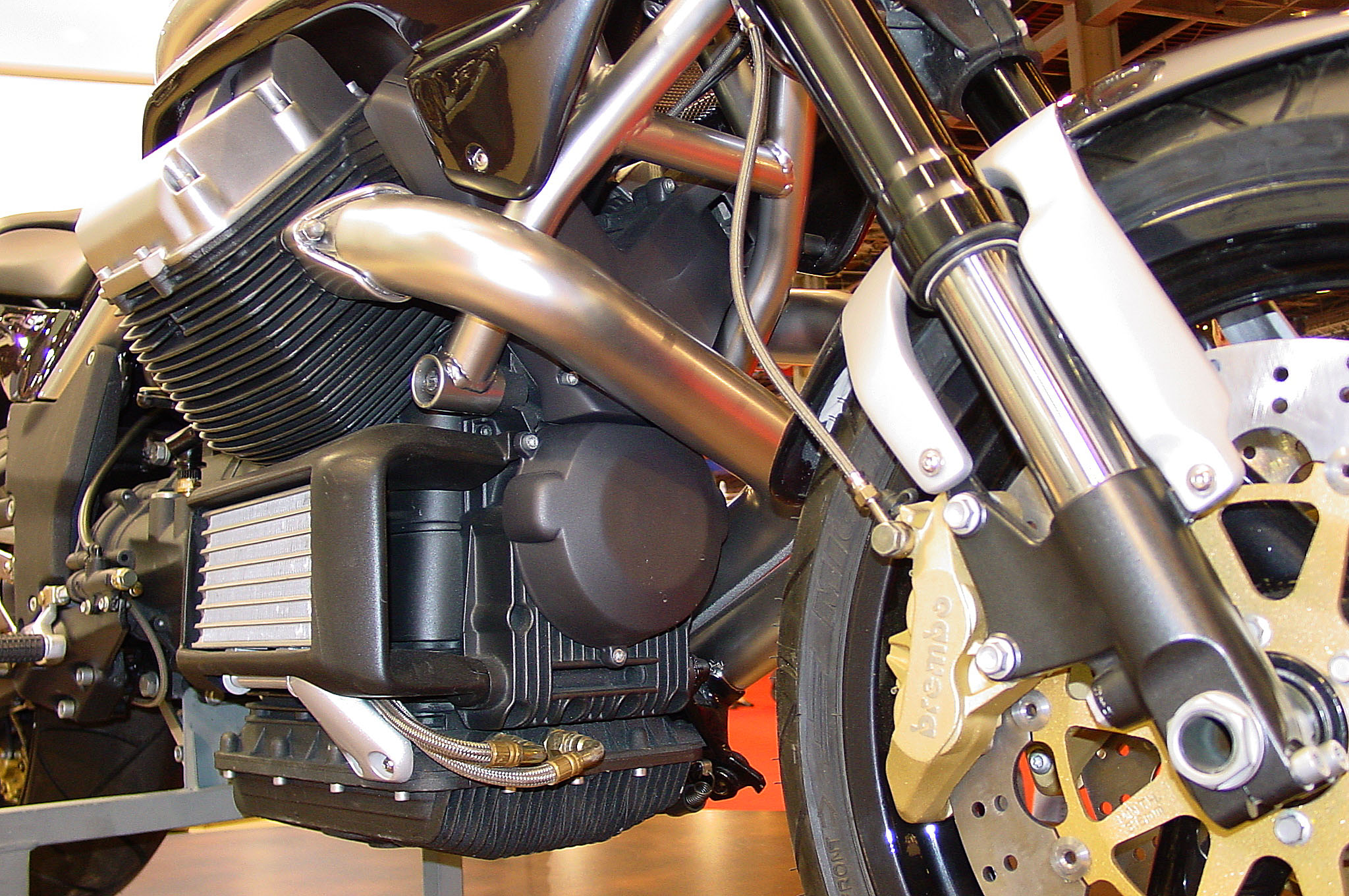Griso03_02.jpg