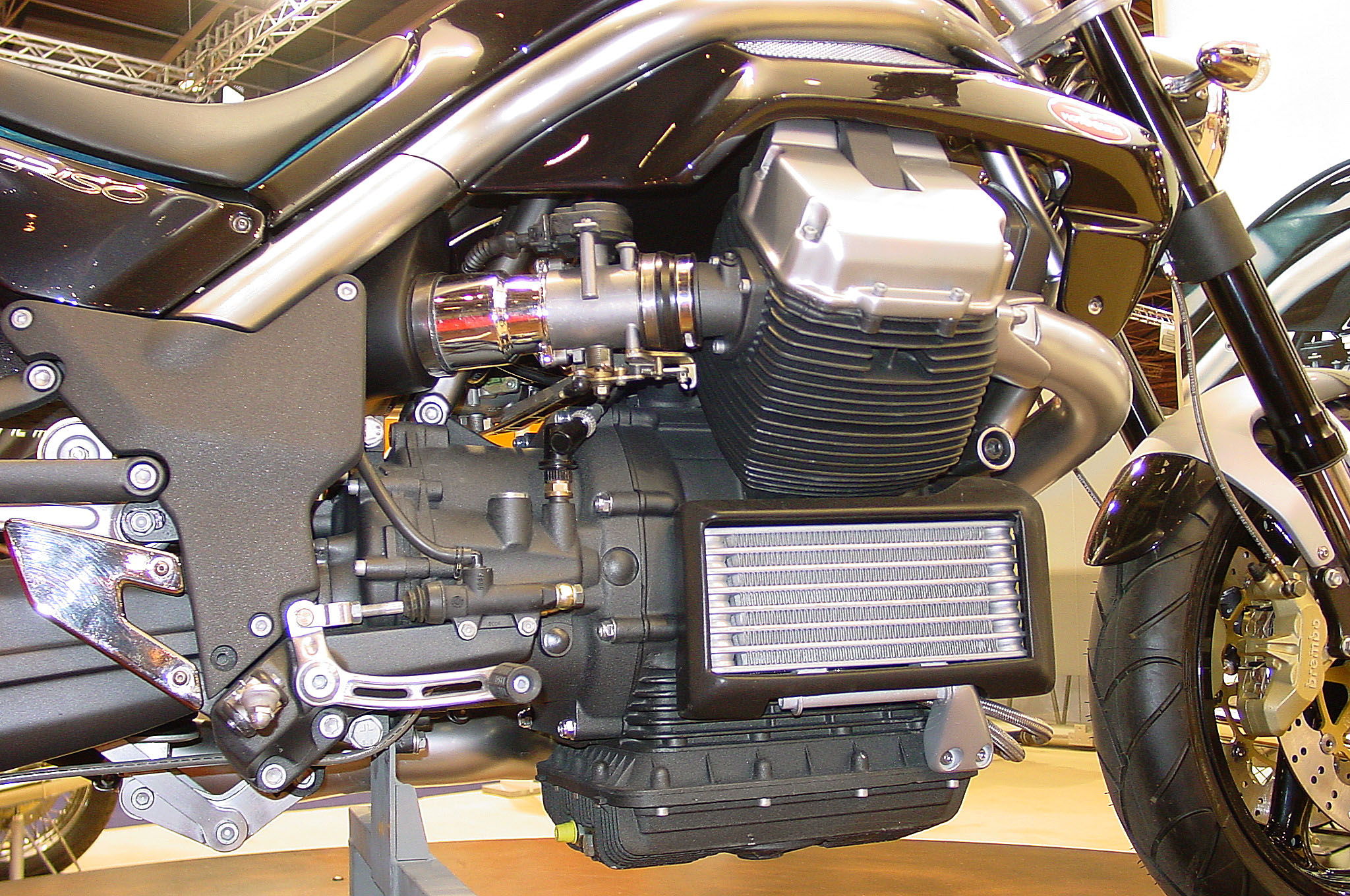 Griso03_06.jpg