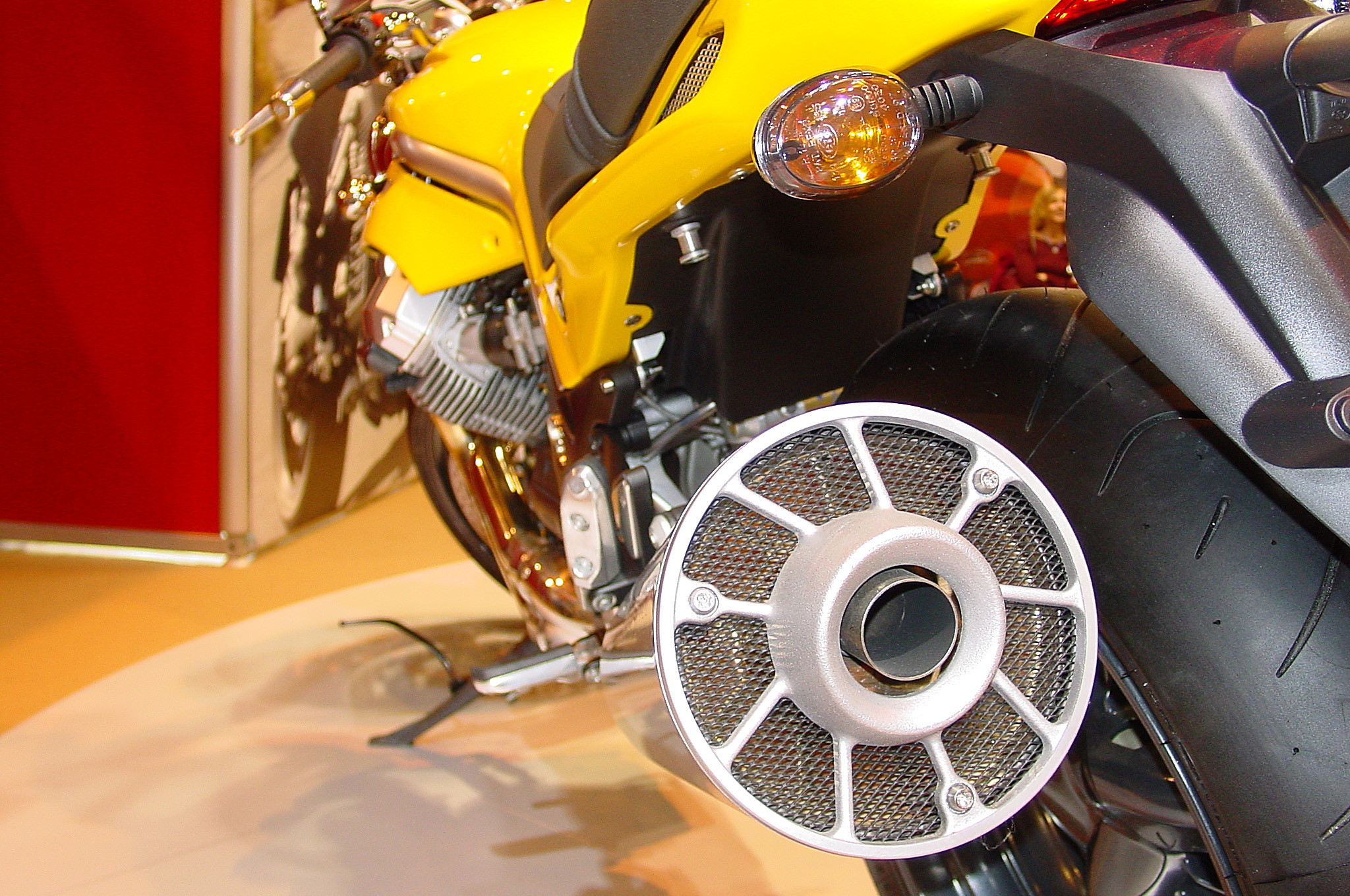 Griso06_06.jpg