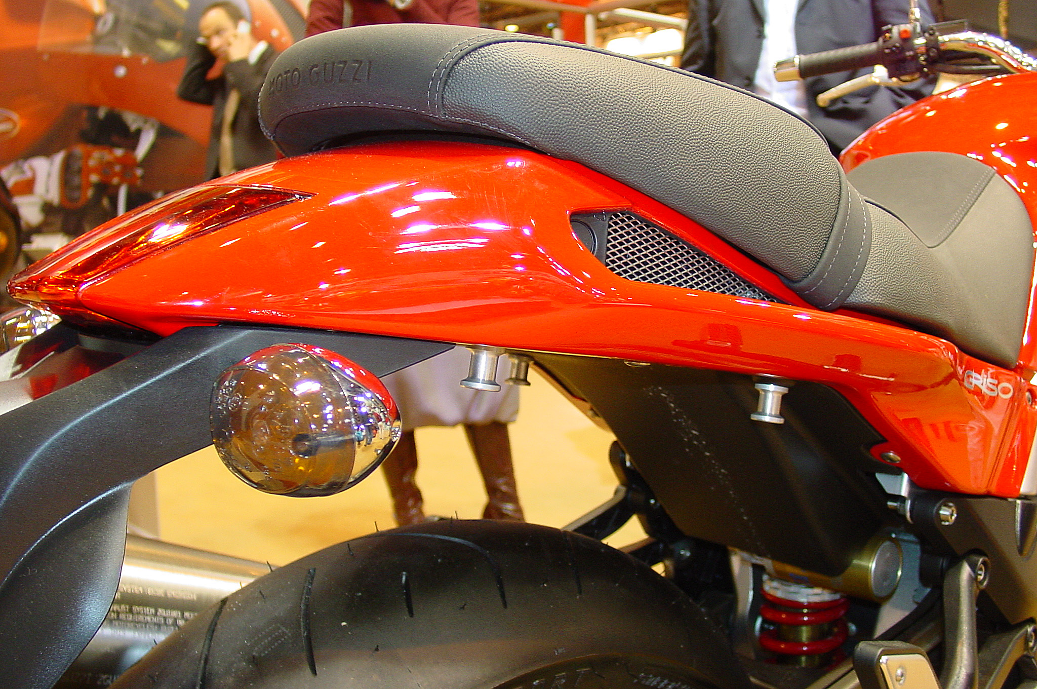 Griso06_11.jpg