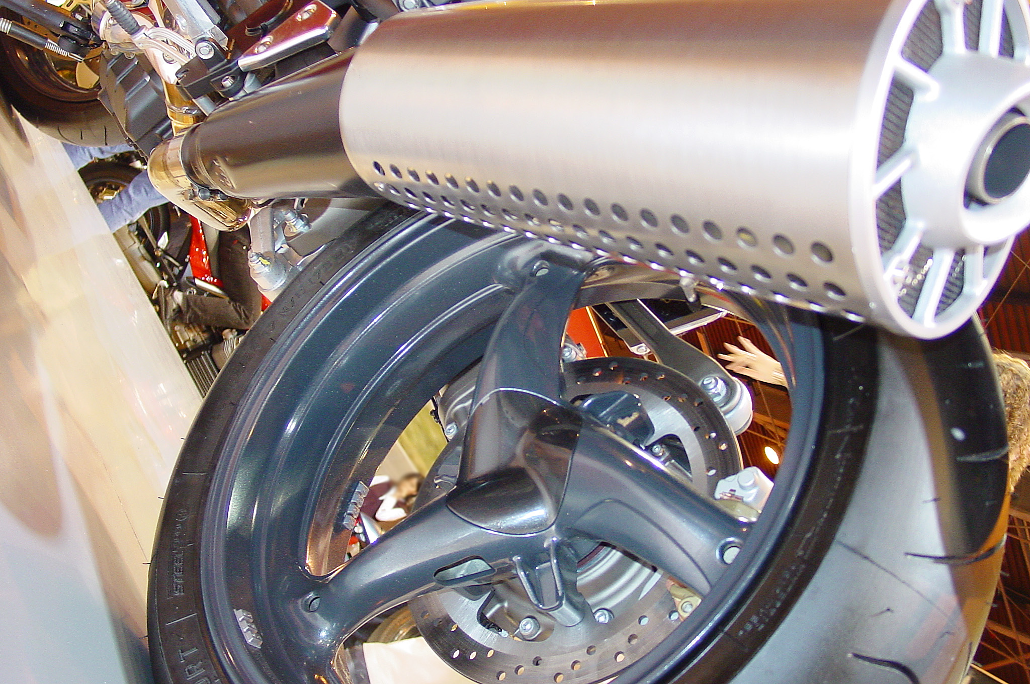 Griso06_17.jpg