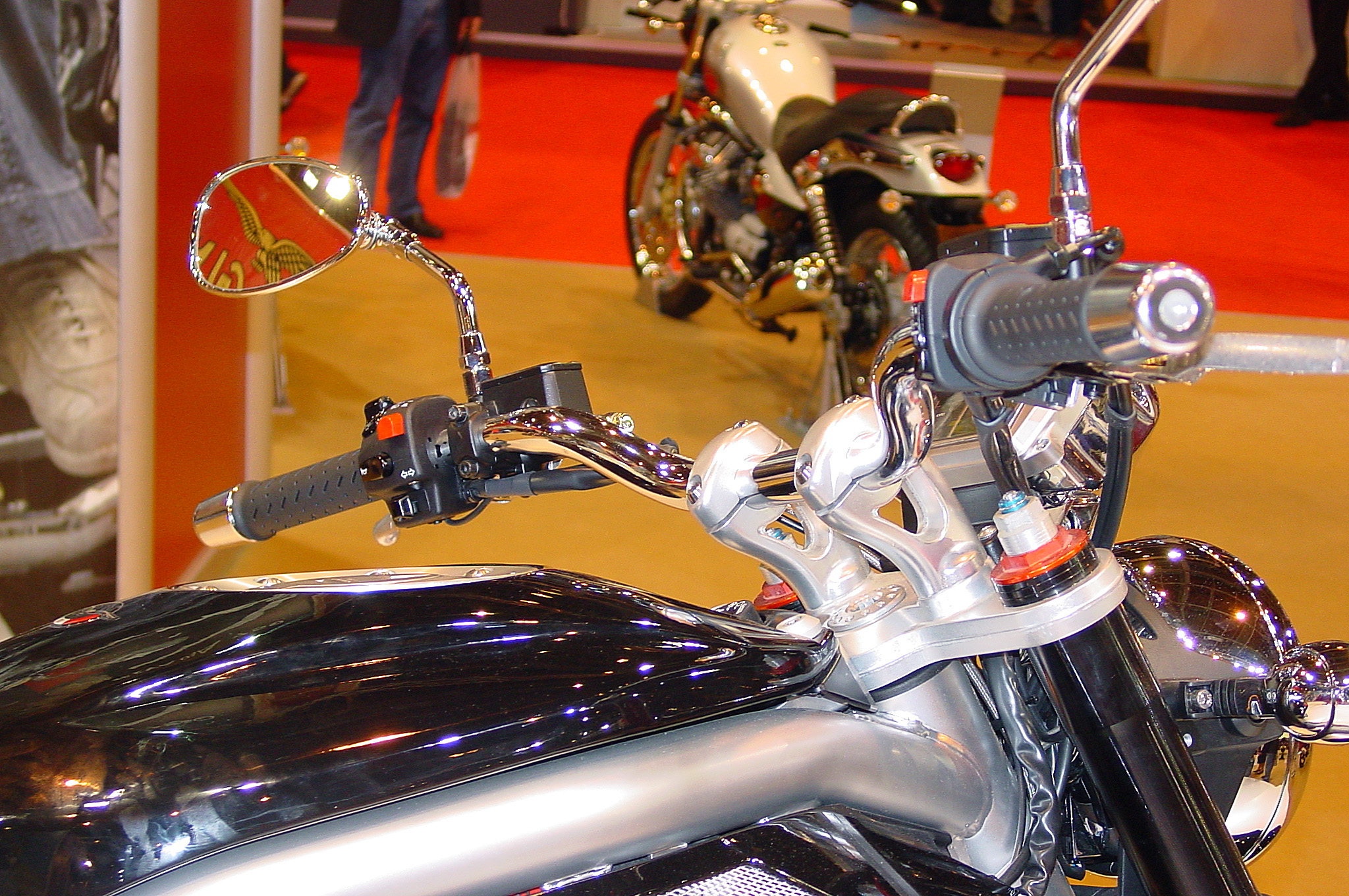 Griso06_23.jpg