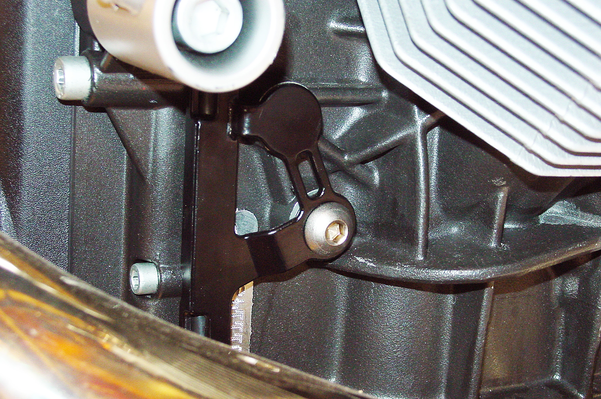 Griso06_26.jpg