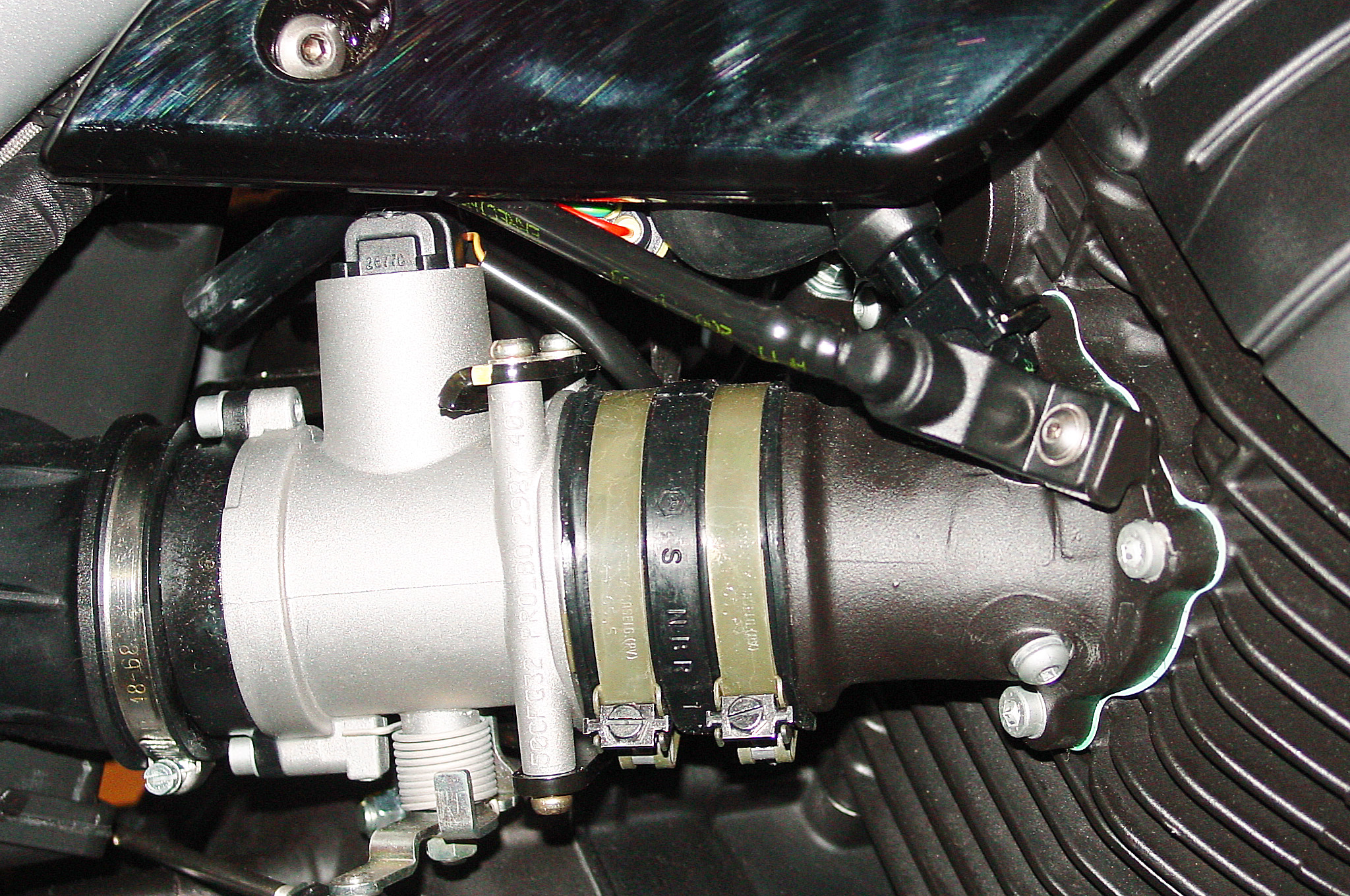 Griso1200_8V_08_10.jpg