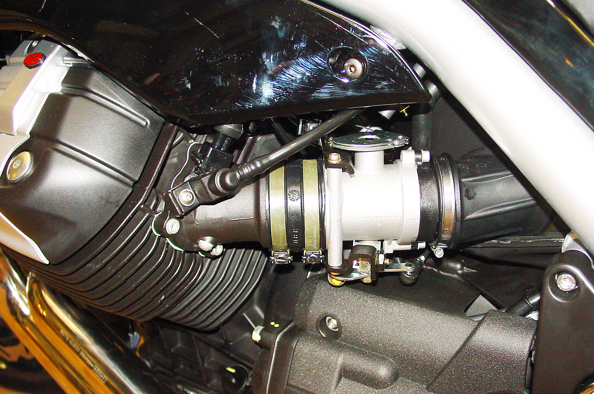 Griso1200_8V_08_12.jpg