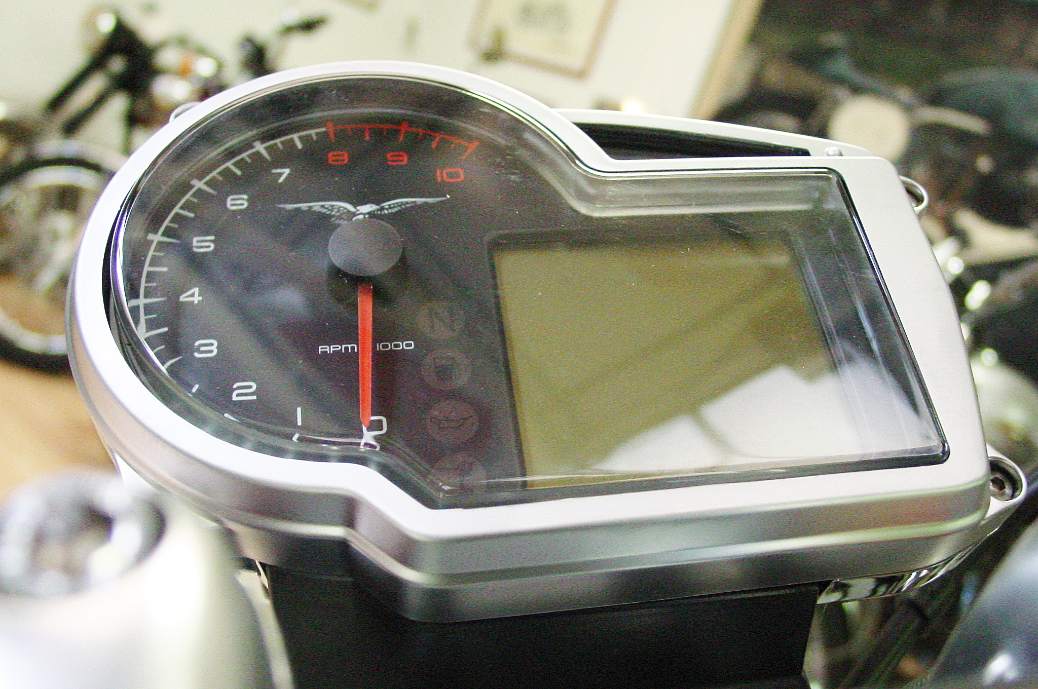 Griso1200_8V_08_13.jpg