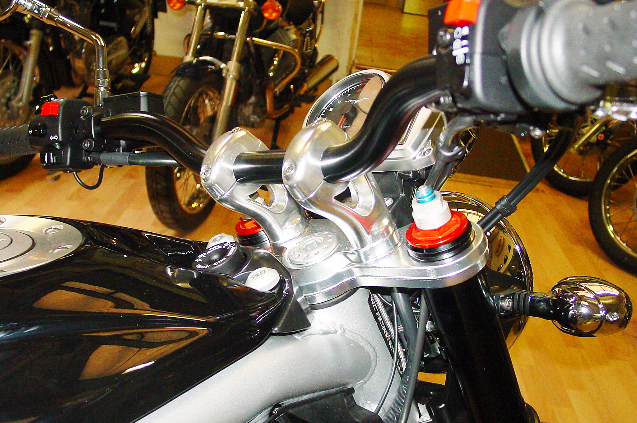 Griso1200_8V_08_16.jpg