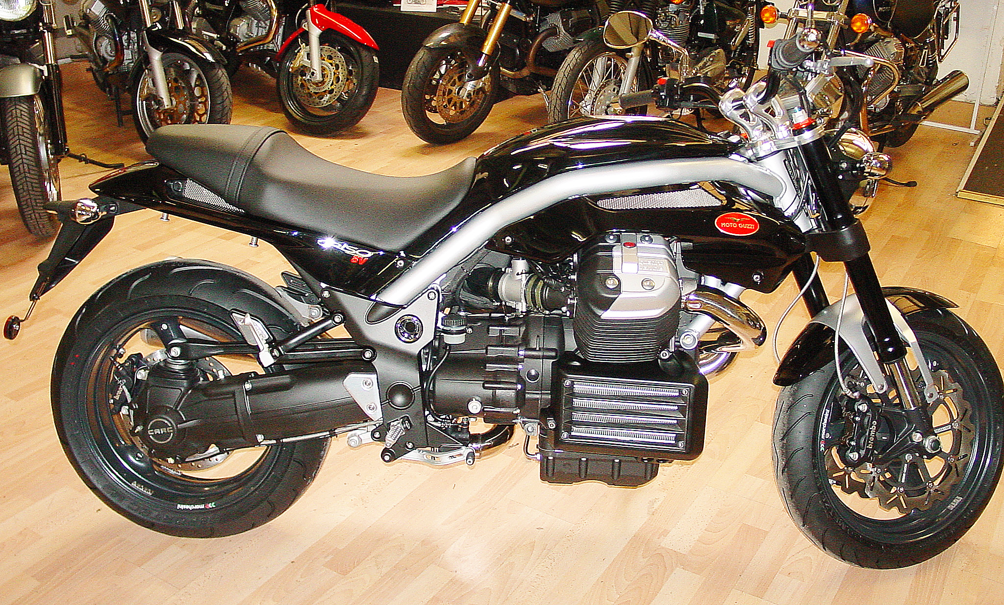 Griso1200_8V_08_17.jpg