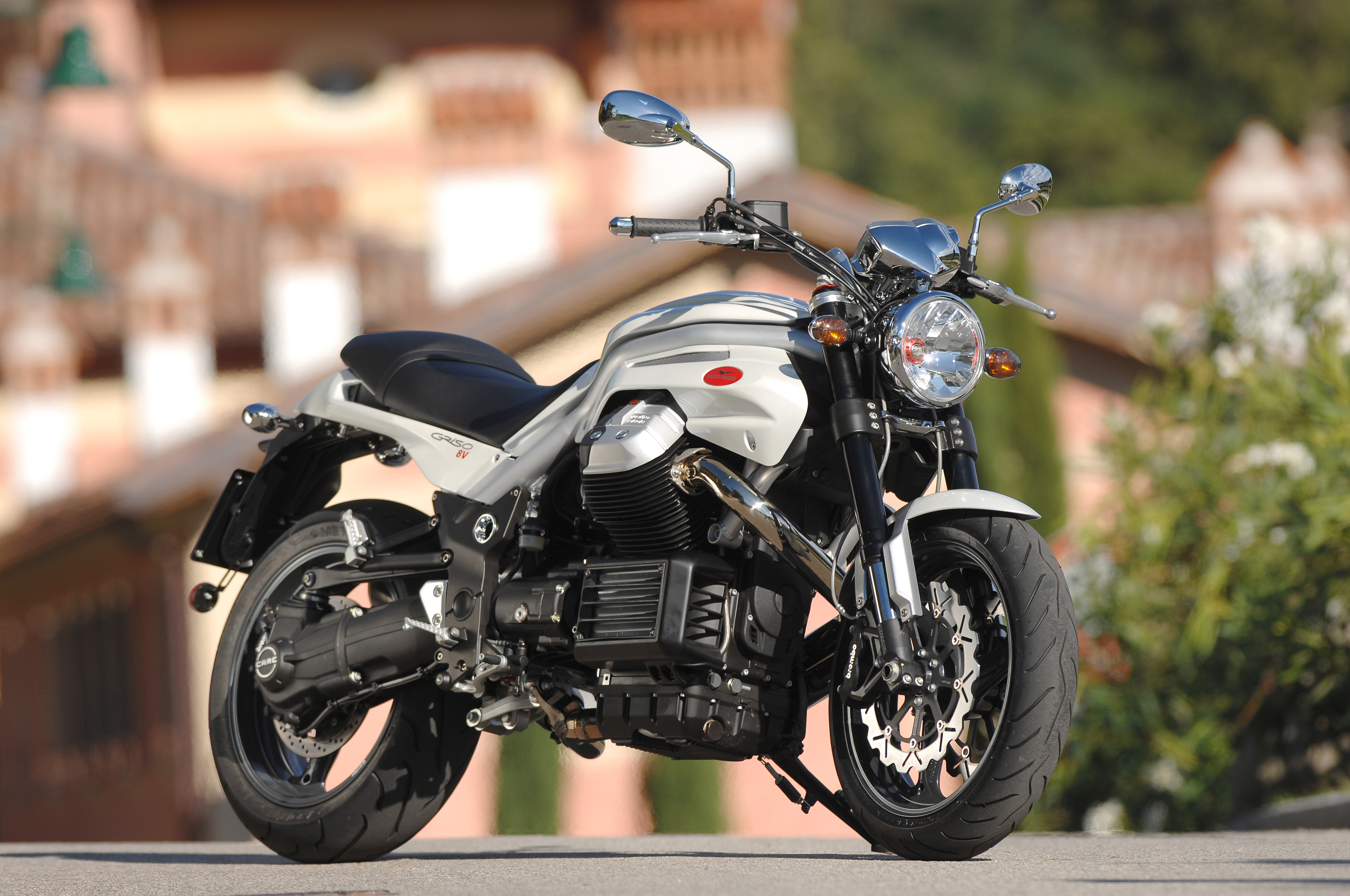 Griso1200_8V_200709_02.jpg