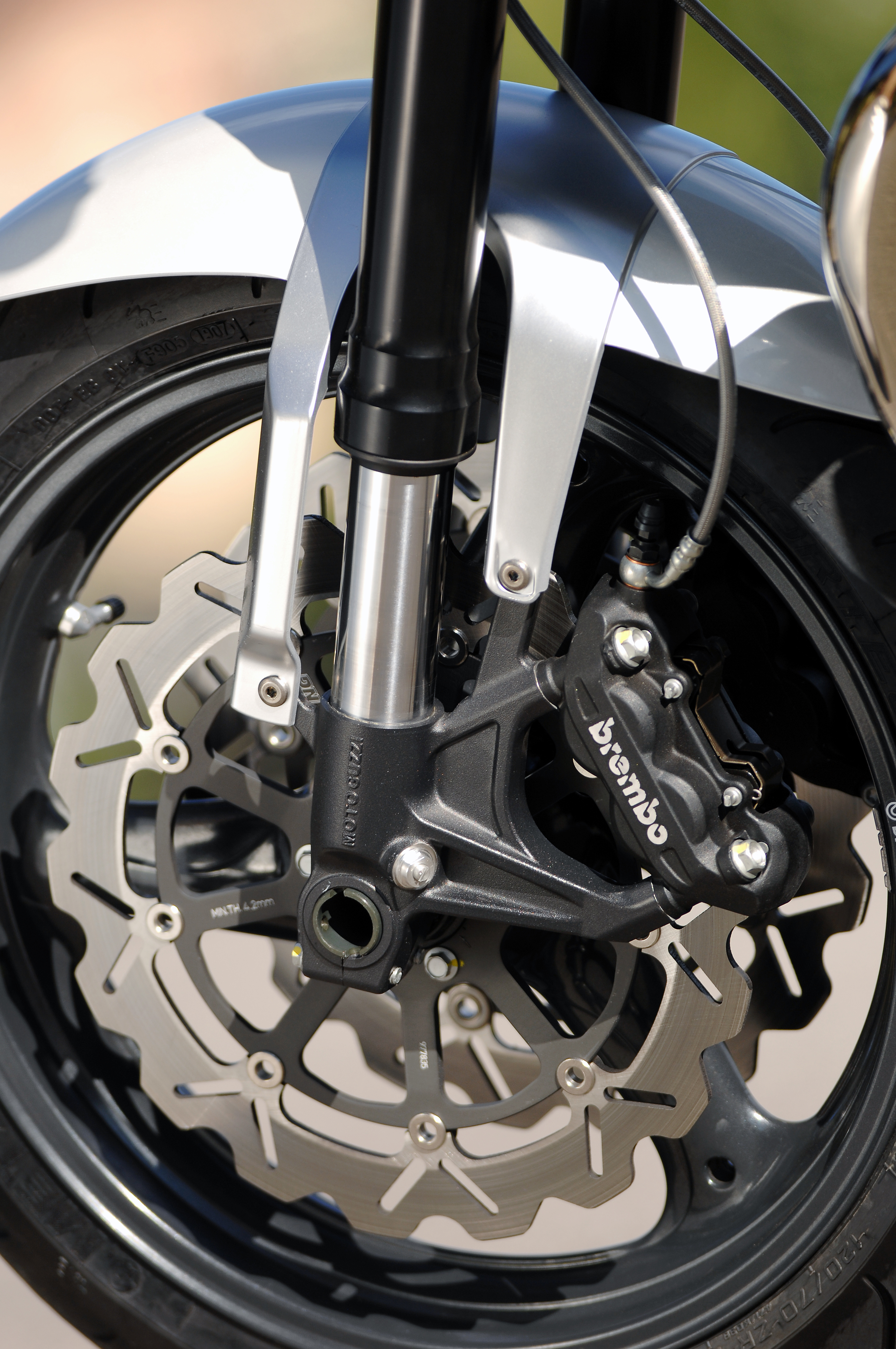 Griso1200_8V_200709_06.jpg
