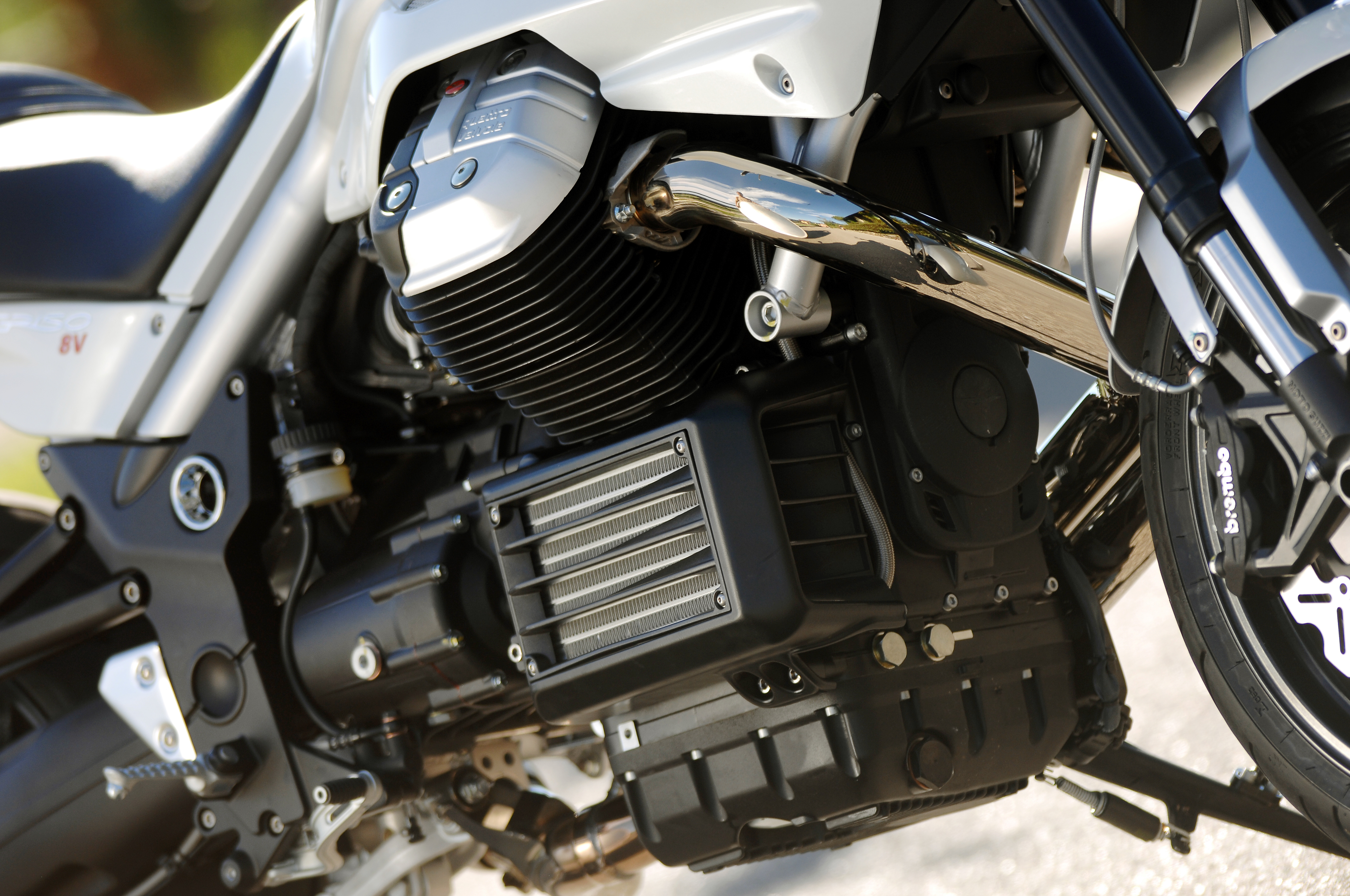 Griso1200_8V_200709_07.jpg