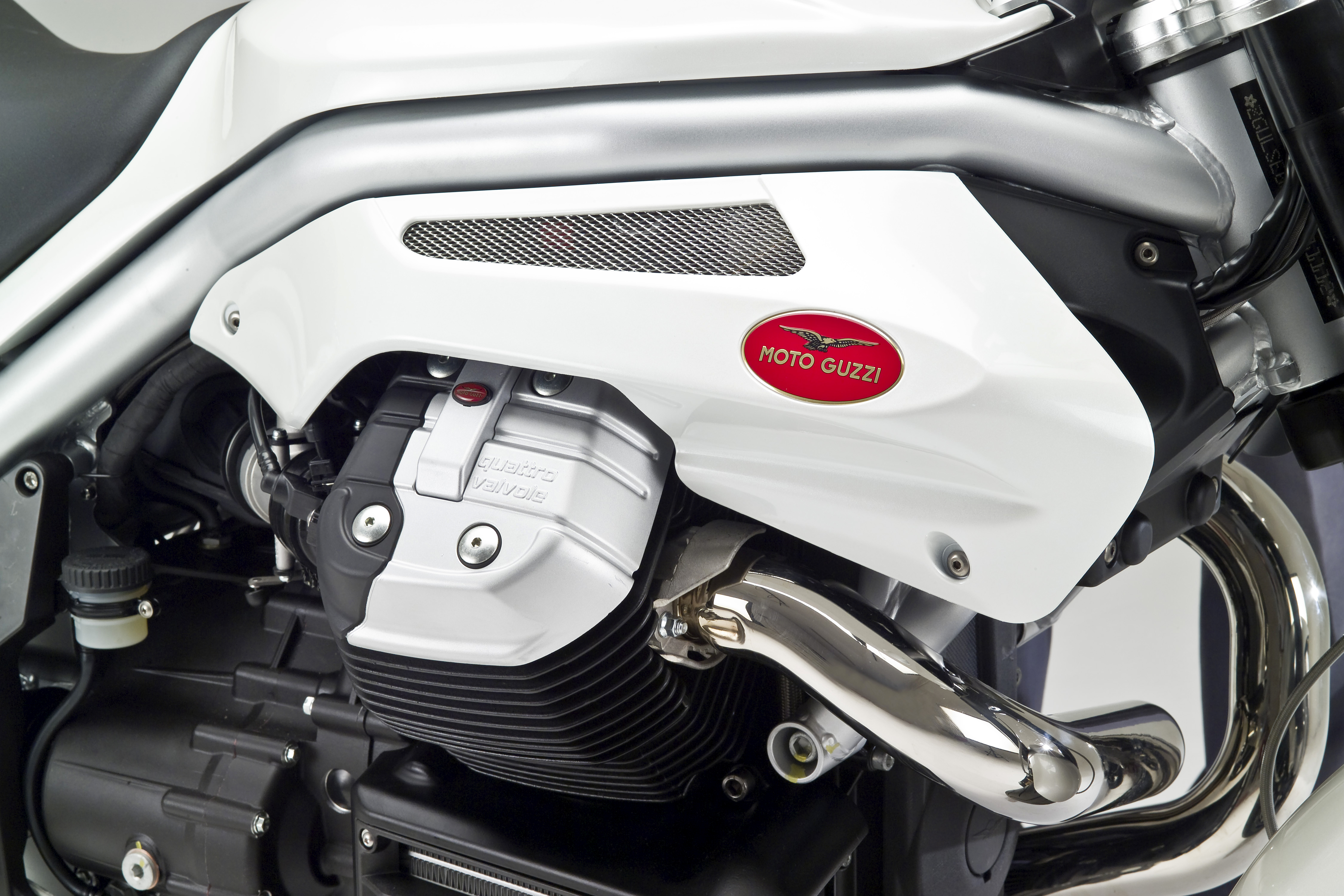 Griso1200_8V_200811_15.jpg