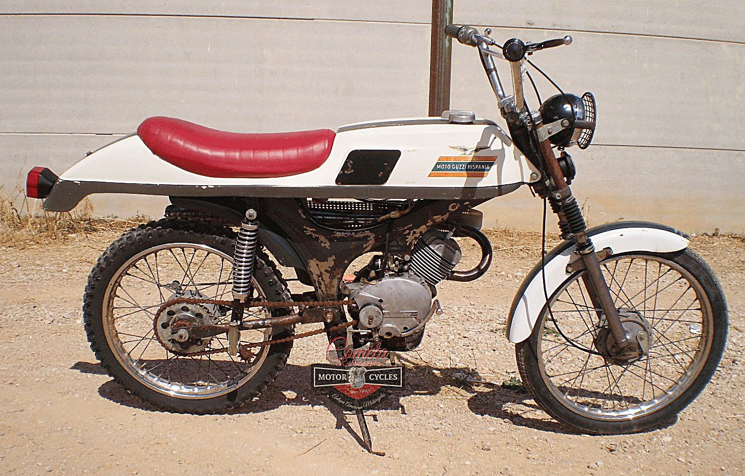 Dingo49-Ranchita_01.jpg