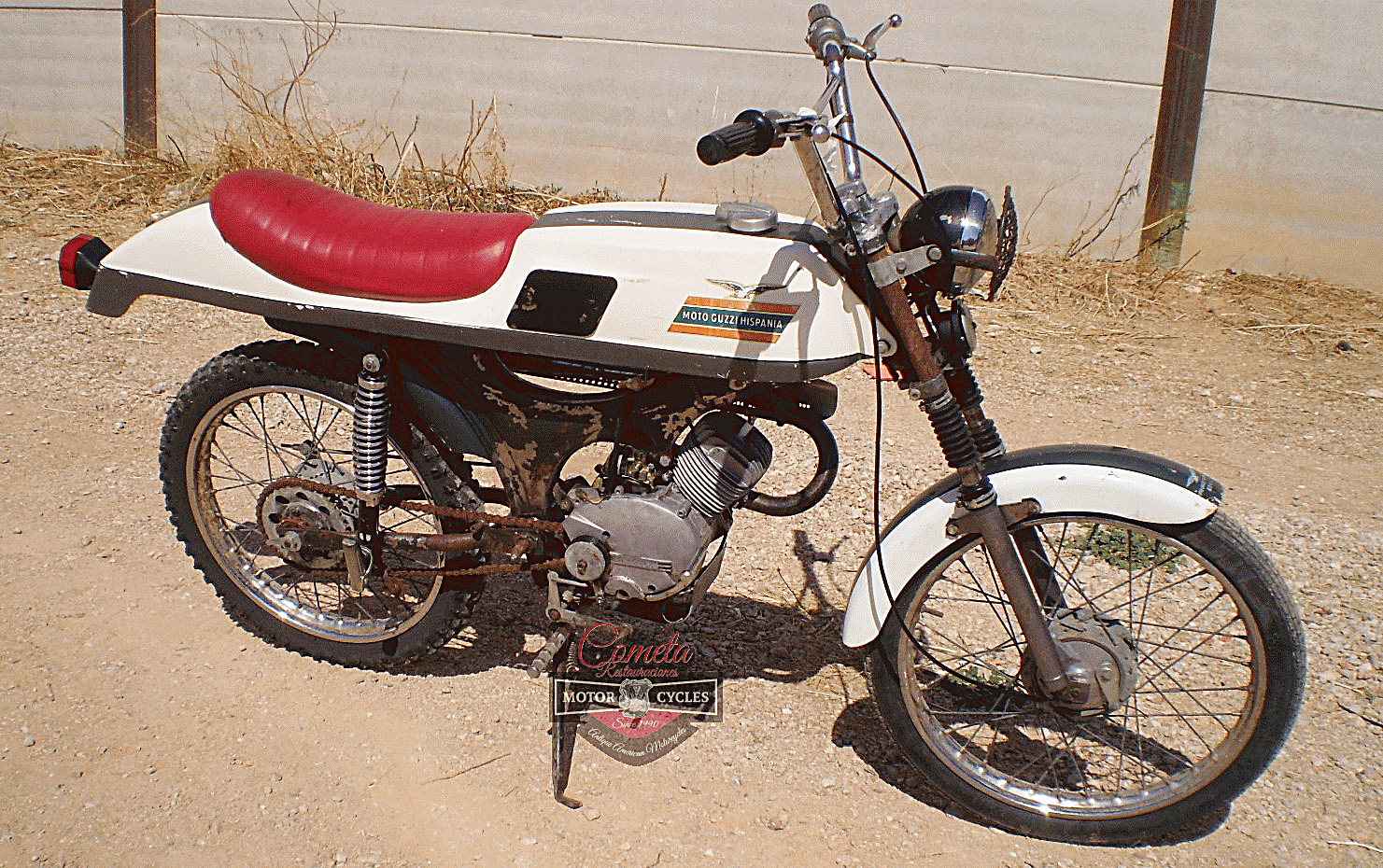 Dingo49-Ranchita_03.jpg