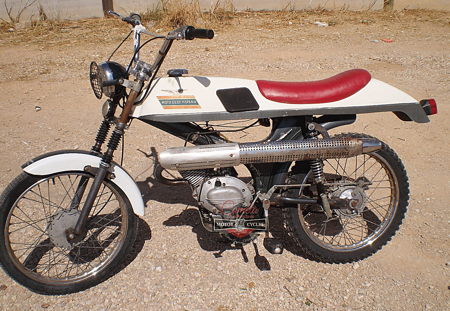 Dingo49-Ranchita_04.jpg