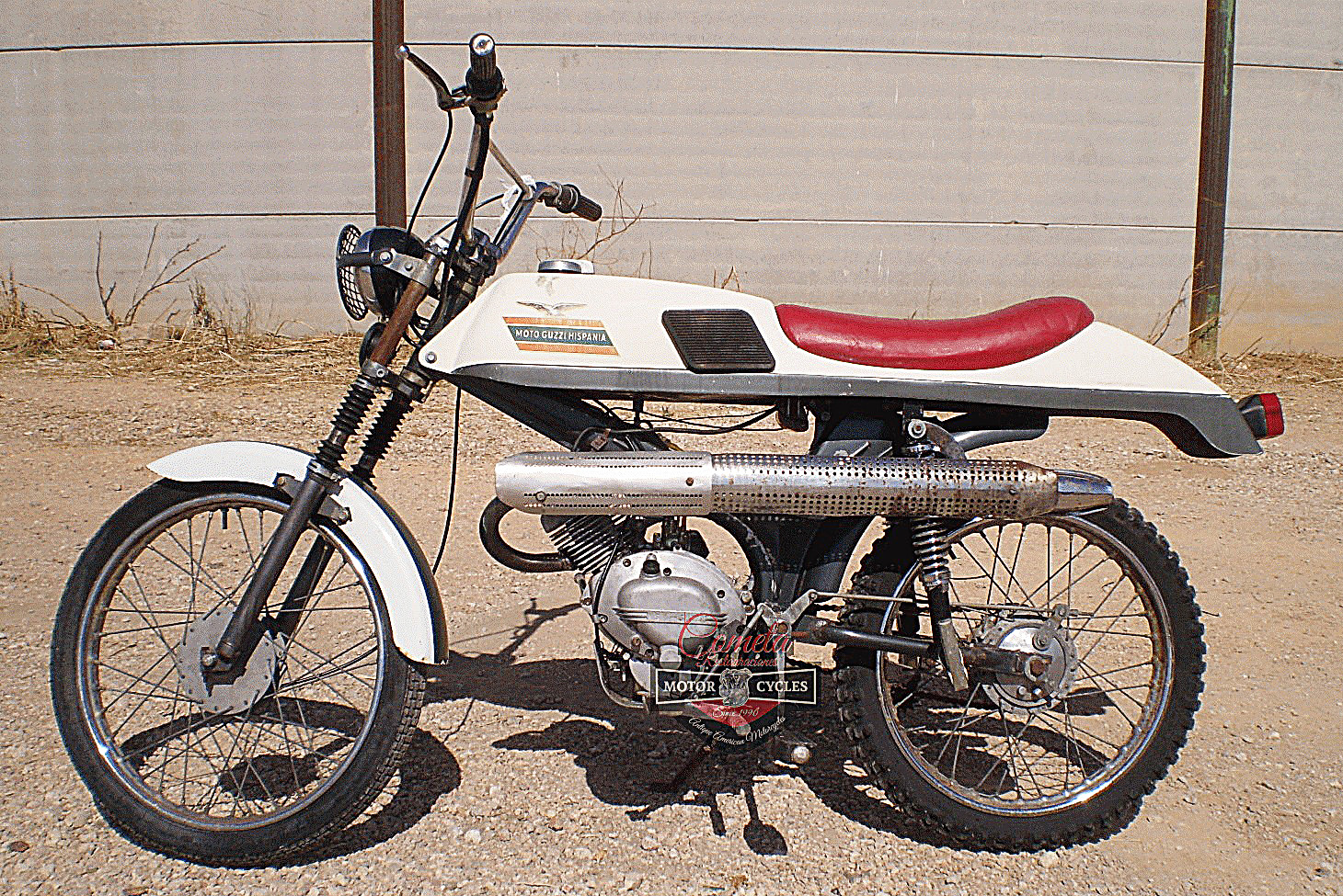 Dingo49-Ranchita_06.jpg