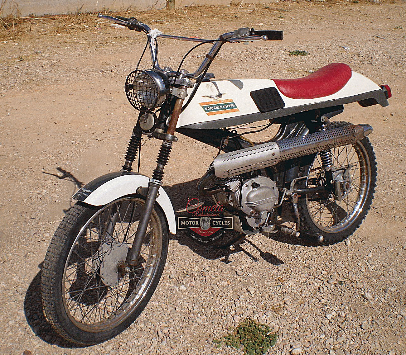 Dingo49-Ranchita_07.jpg