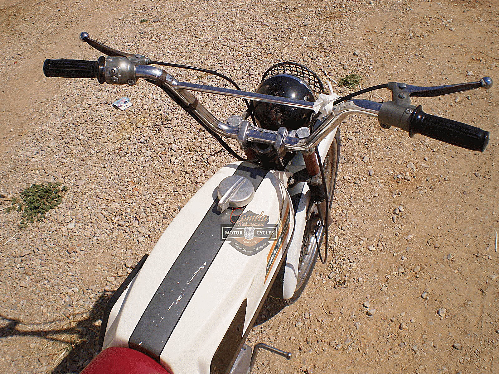 Dingo49-Ranchita_08.jpg