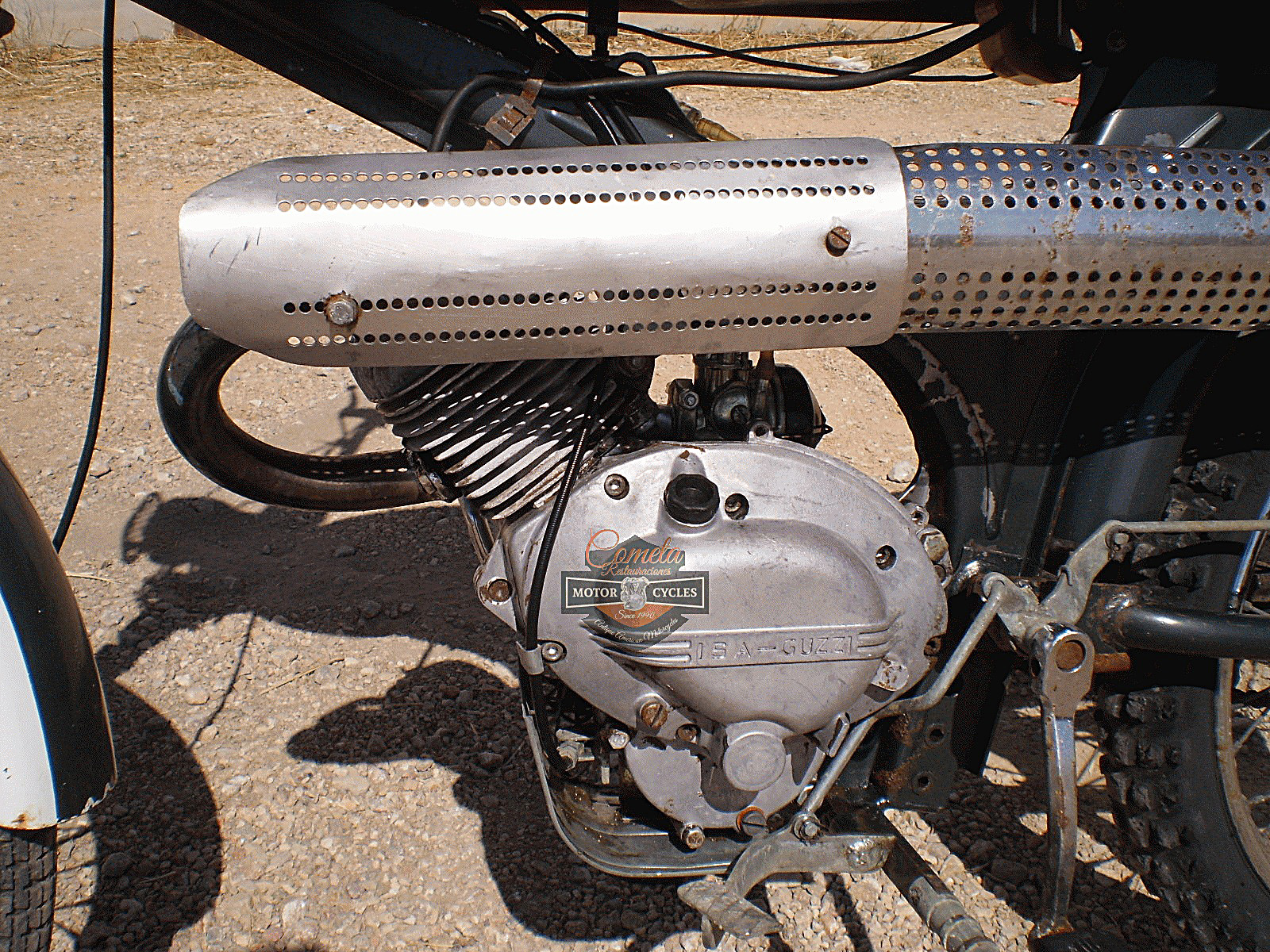 Dingo49-Ranchita_09.jpg