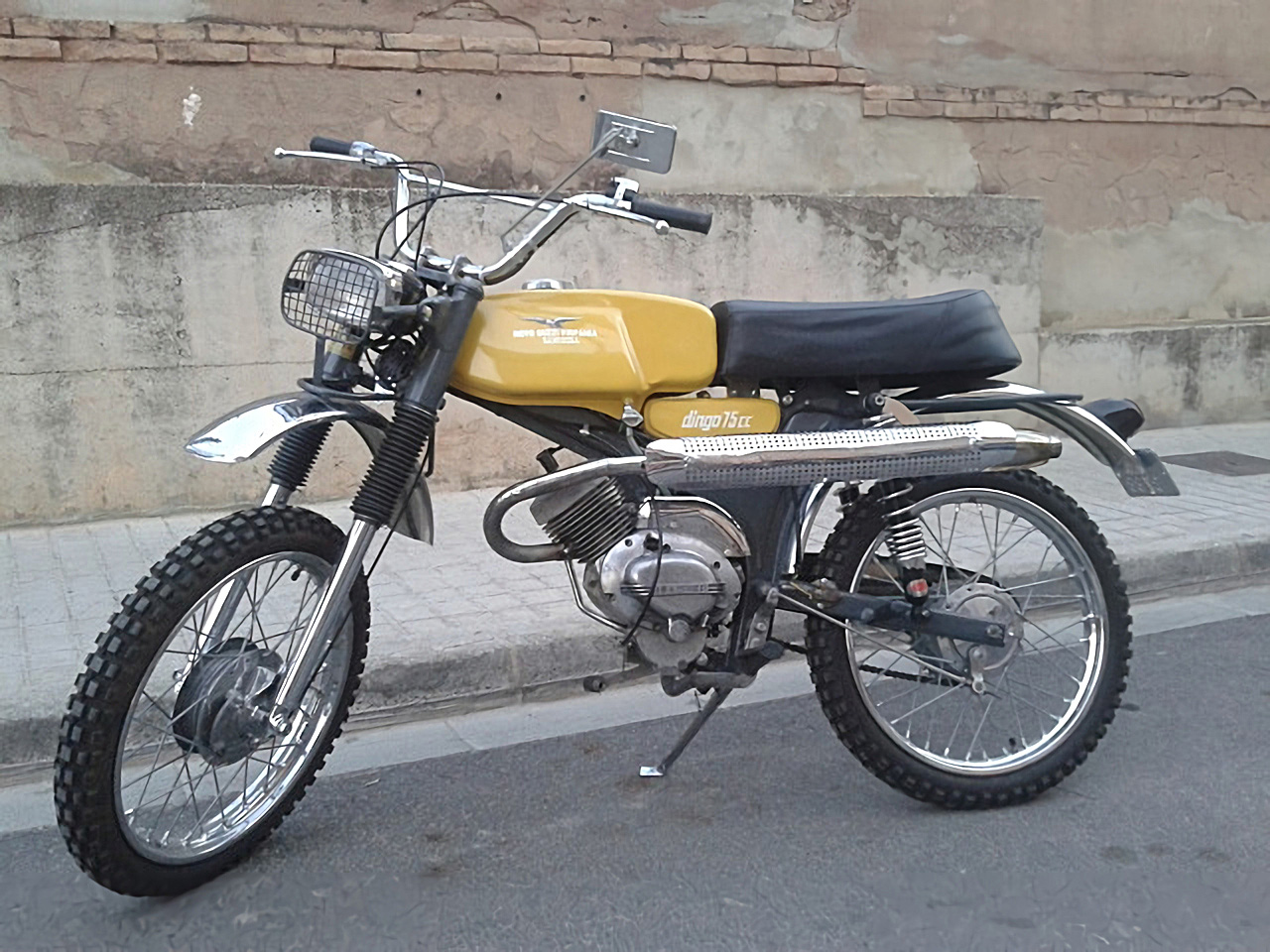 Dingo75-Ranchera_71_01.jpg