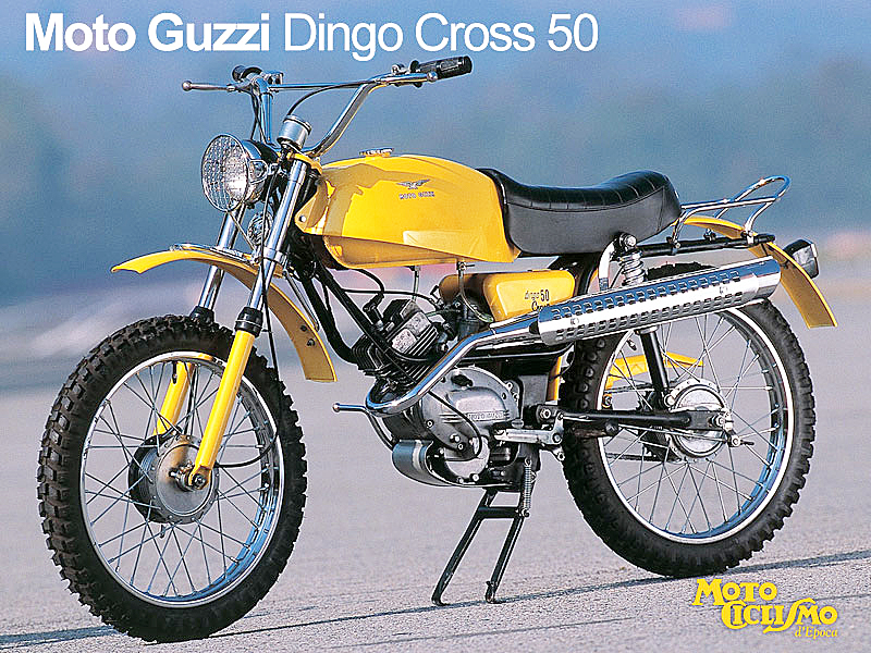 DingoCross50_70.jpg