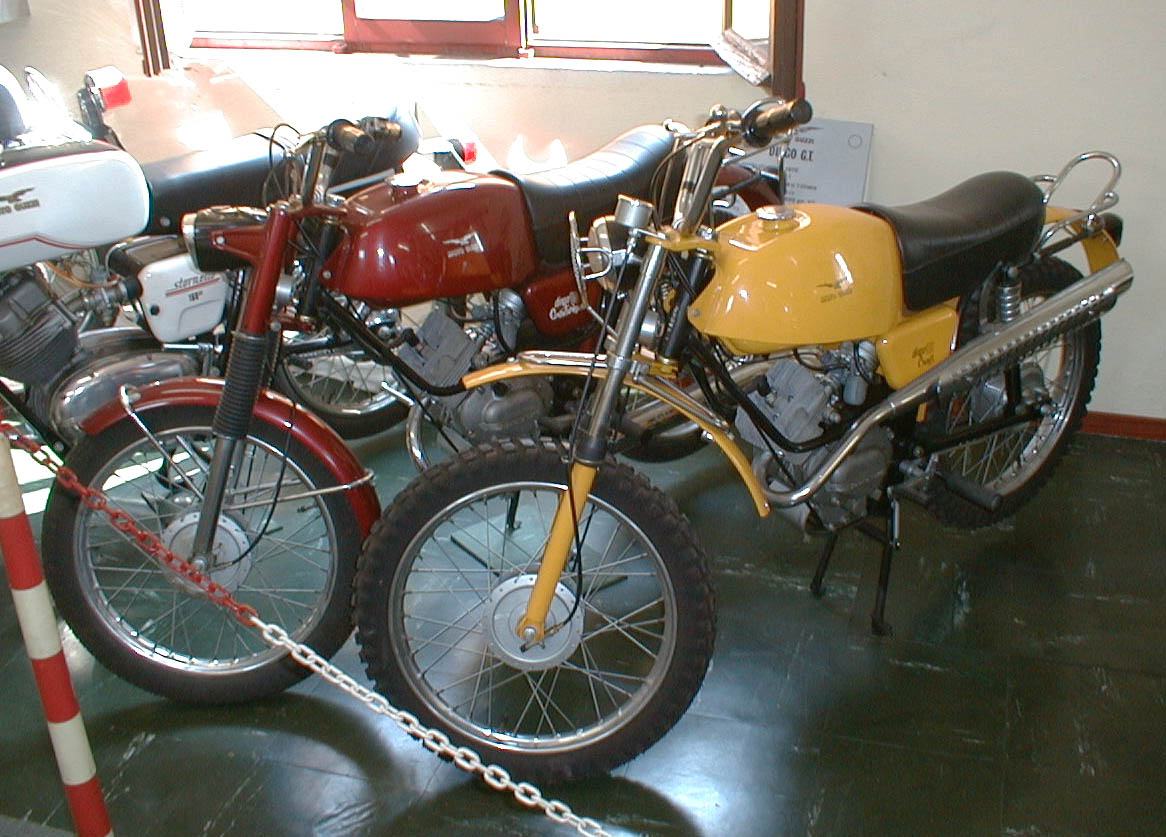 DingoCross70_03.jpg