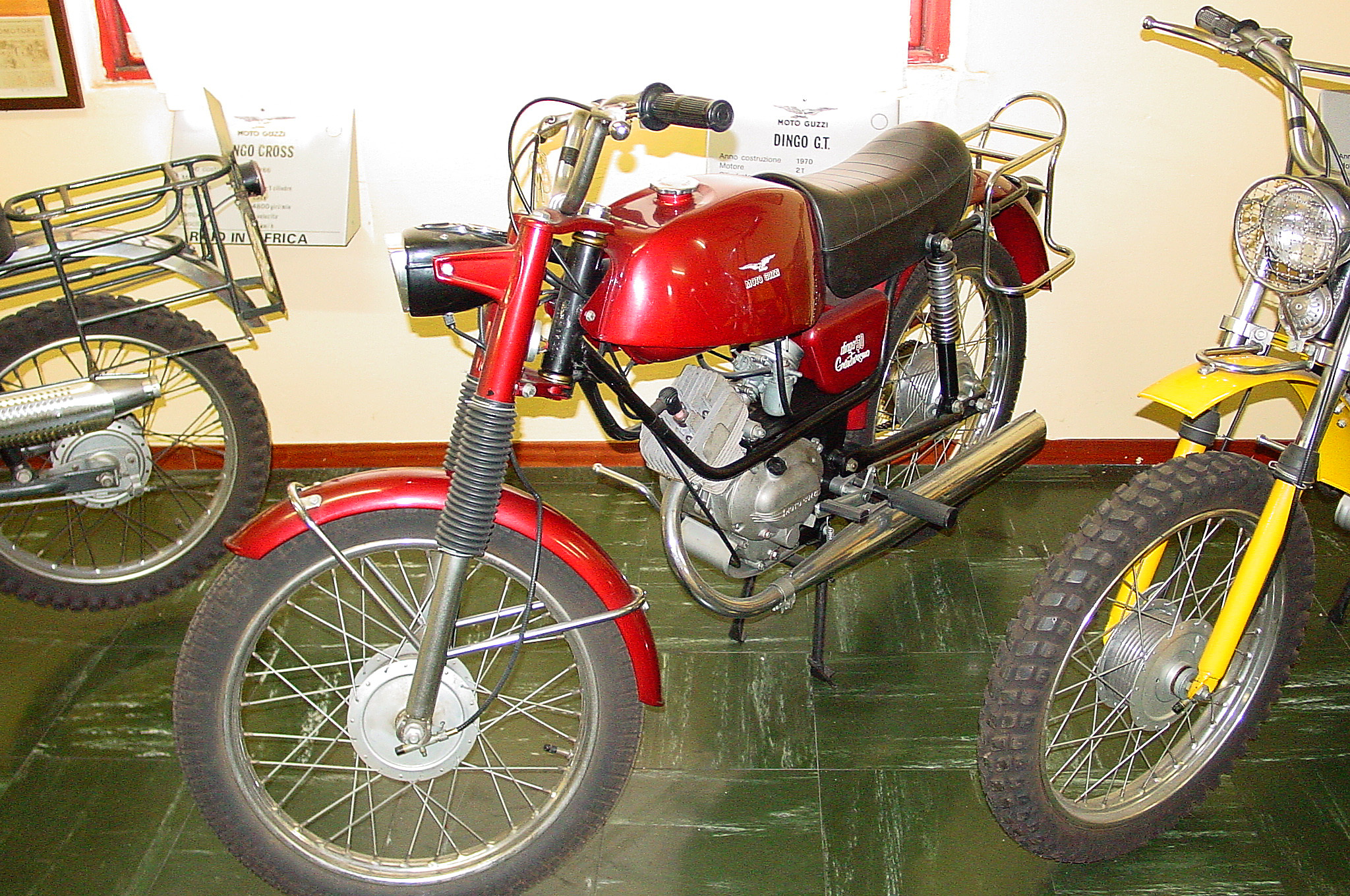 DingoGT70_01.jpg