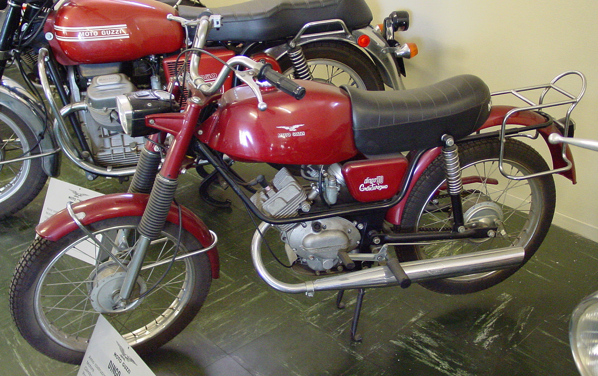 DingoGT70_02.jpg